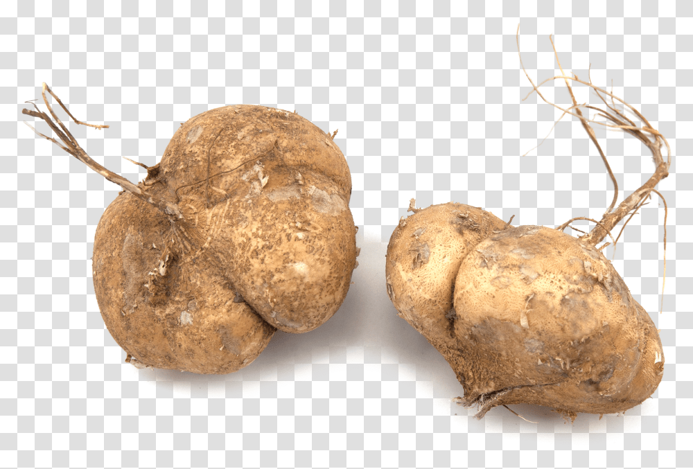 Russet Burbank Potato Download Tuber, Plant, Ginger, Root, Fungus Transparent Png