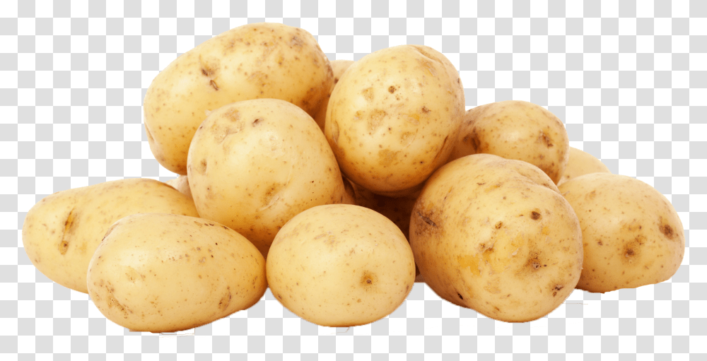 Russet Burbank Potato Michigan Potatoes, Vegetable, Plant, Food, Egg Transparent Png