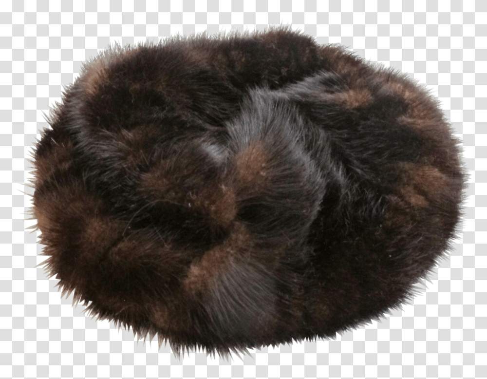 Russian Fur Hat Brown, Cat, Pet, Mammal, Animal Transparent Png