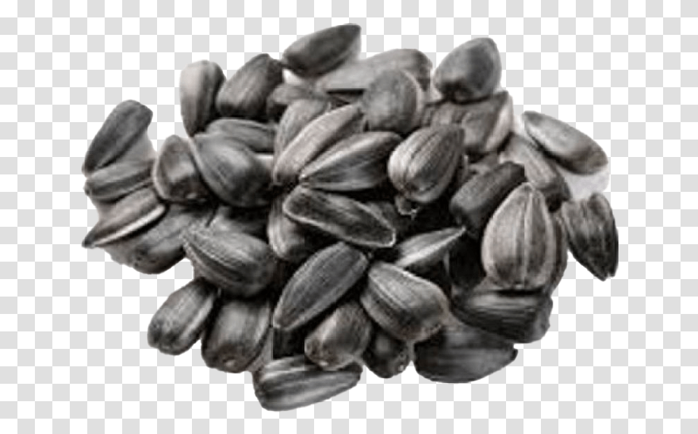 Russian Sunflower Seeds Raw, Plant, Grain, Produce, Vegetable Transparent Png
