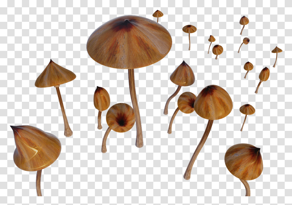 Russula Integra, Plant, Agaric, Mushroom, Fungus Transparent Png