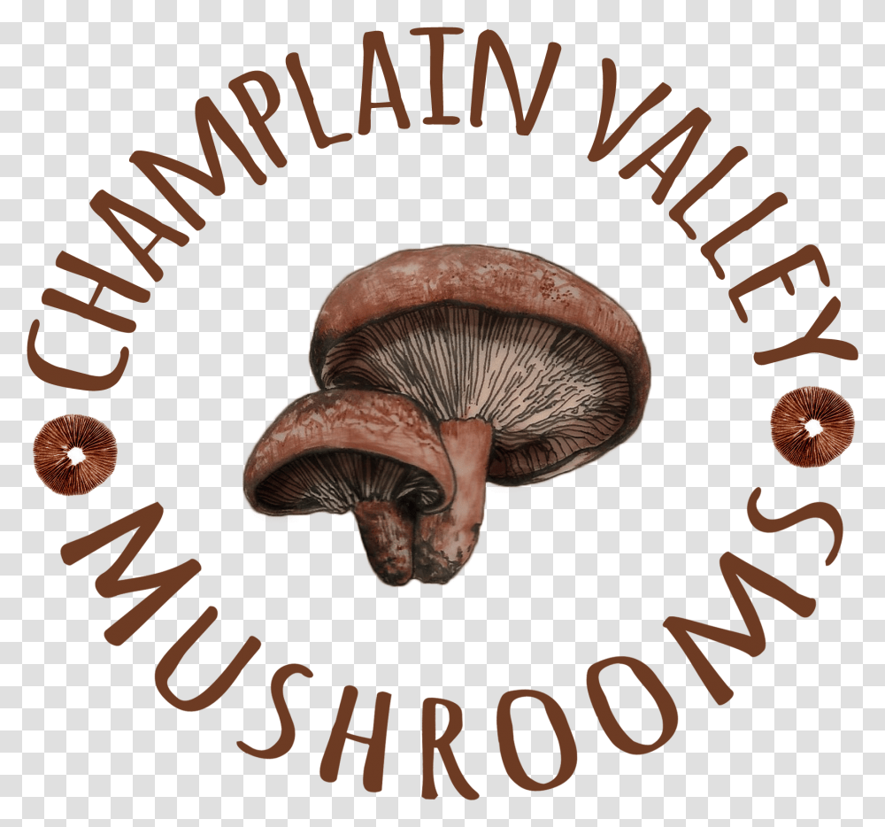Russula Integra, Plant, Mushroom, Fungus, Agaric Transparent Png