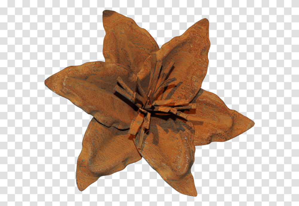 Rust Lily Flower - Watson And Co Clematis, Leaf, Plant, Blossom, Petal Transparent Png