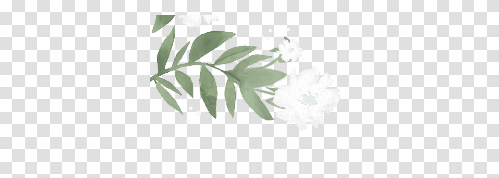 Rustic Rabbit, Leaf, Plant, Potted Plant, Vase Transparent Png