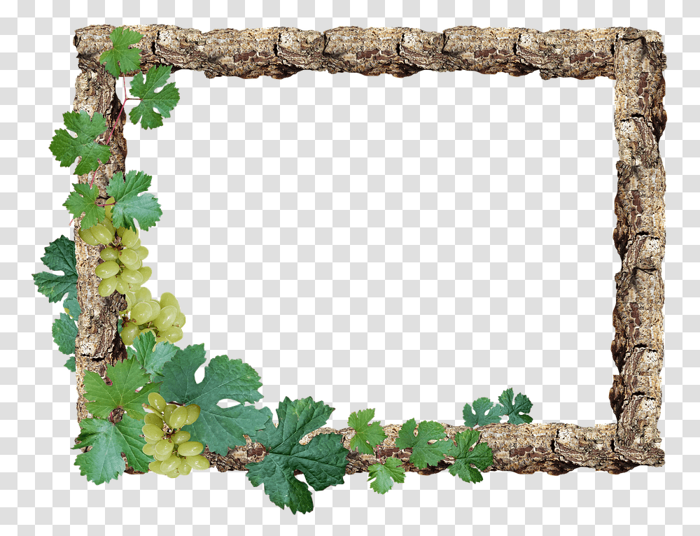 Rustic Wood Frame Rustic Border Hd, Plant, Leaf, Hole, Ivy Transparent Png