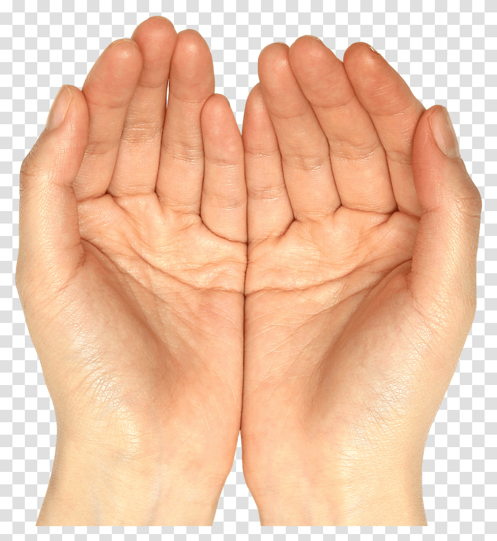 Rusty Nail Head Dua Hand, Person, Human, Finger, Wrist Transparent Png