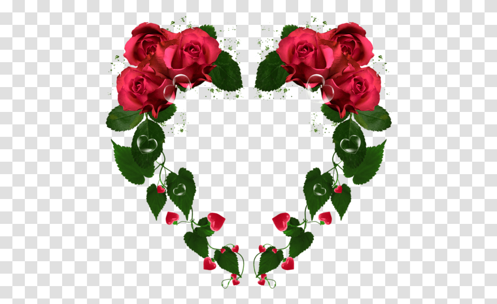 Ruza U Srcu Gifff, Rose, Flower, Plant, Blossom Transparent Png
