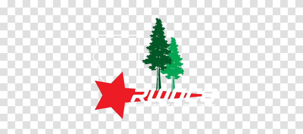 Rwdca, Tree, Plant, Fir Transparent Png