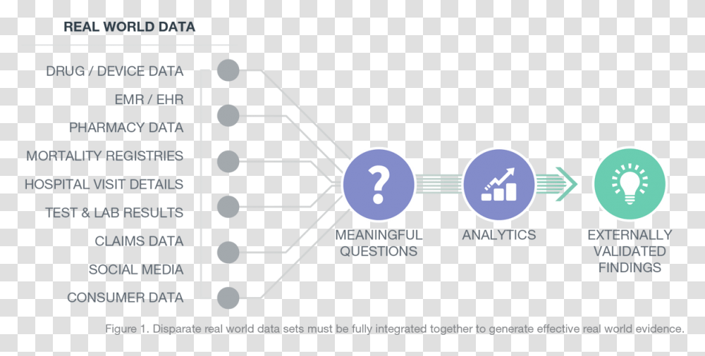 Rwe Diagram Real World Data Evidence, Network, Plot Transparent Png
