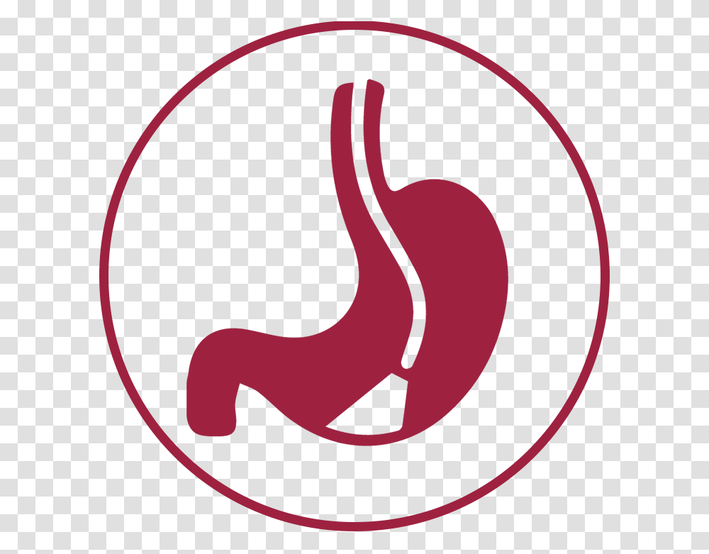 Rwj Endoscopy Icon, Maroon, Plant, Sweets, Food Transparent Png