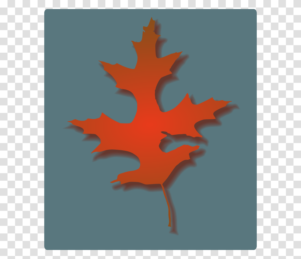 Rwwgub Oak Leaf Autumn, Nature, Plant, Tree, Maple Transparent Png