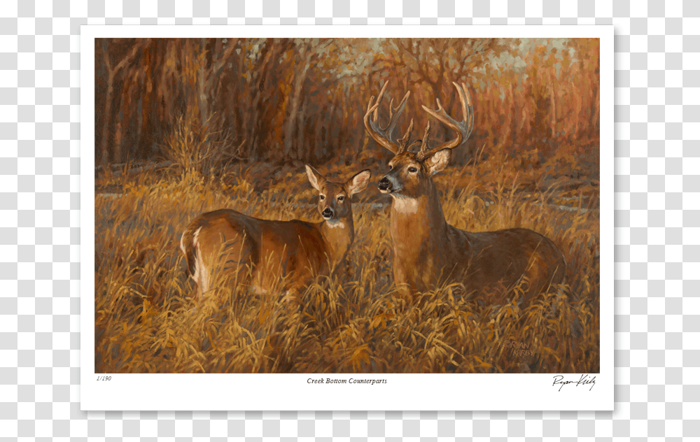 Ryan Kirby Creek Bottom Counterparts Nwtf Paper Print Antler, Antelope, Wildlife, Mammal, Animal Transparent Png
