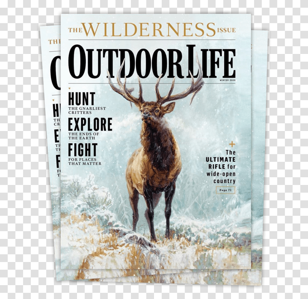 Ryan Kirby Elk In Snow Outdoor Life 2020, Deer, Wildlife, Mammal, Animal Transparent Png