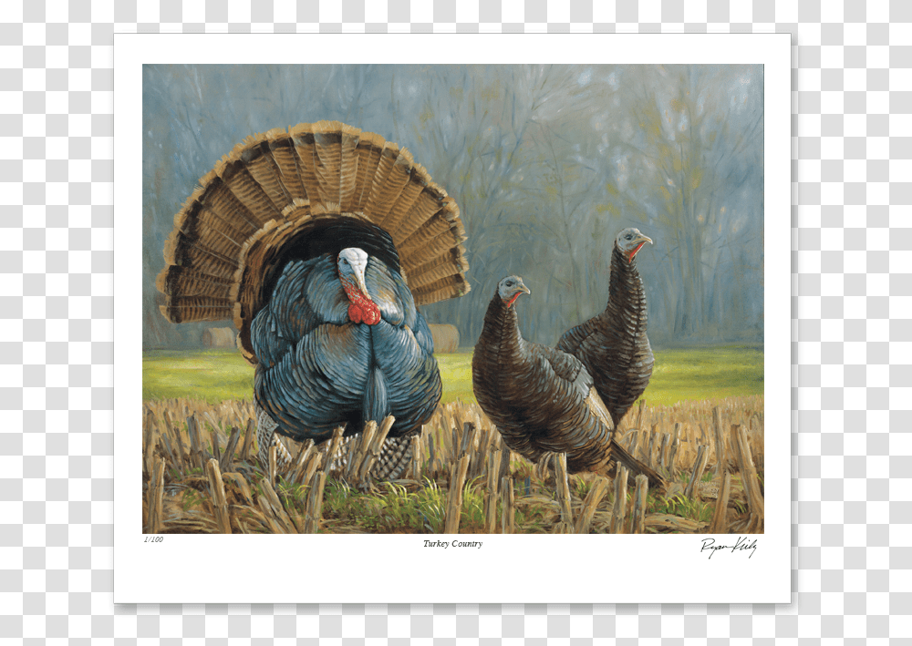 Ryan Kirby Turkey Country Nwtf Stamp Print, Bird, Animal, Fowl, Turkey Bird Transparent Png