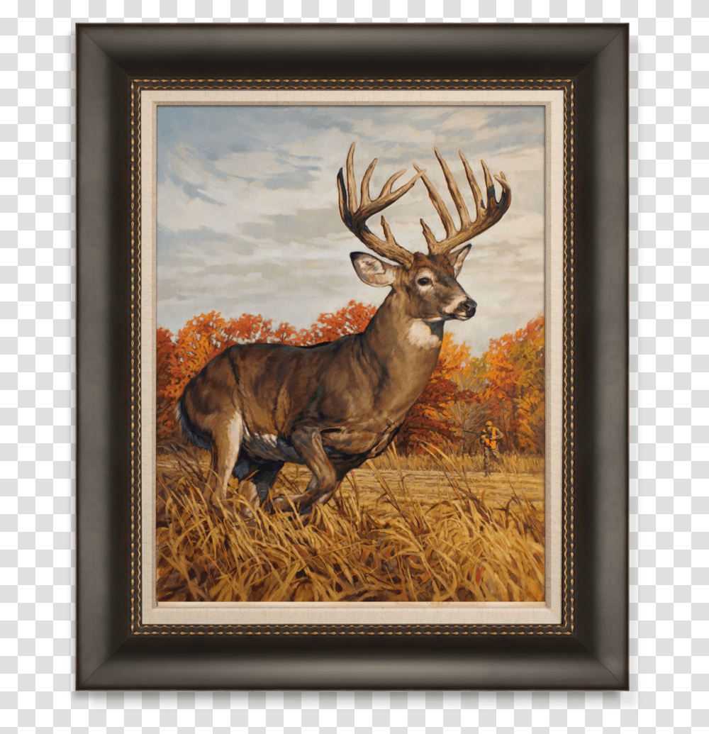 Ryan Kirby Whitetail Deer Running Gunning Outdoor Life, Antelope, Wildlife, Mammal, Animal Transparent Png