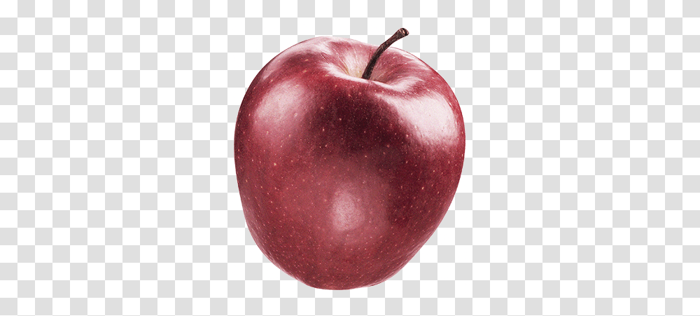 Ryuk Apple Photography Fotolia Ryuk Apple, Fruit, Plant, Food, Vegetable Transparent Png