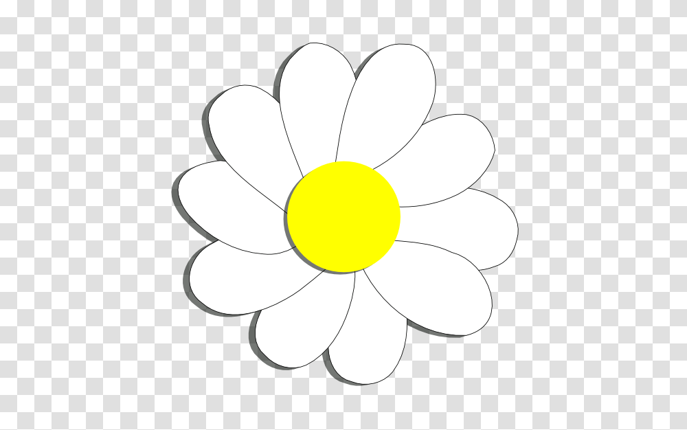 S Clip Art Flowers, Plant, Blossom, Daisy, Daisies Transparent Png