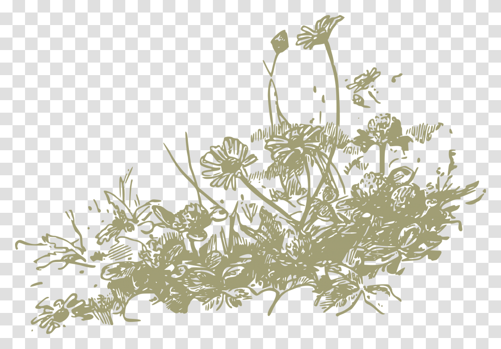 S Display Wildflowers V Wildflowers Clipart Free, Floral Design, Pattern, Stencil Transparent Png