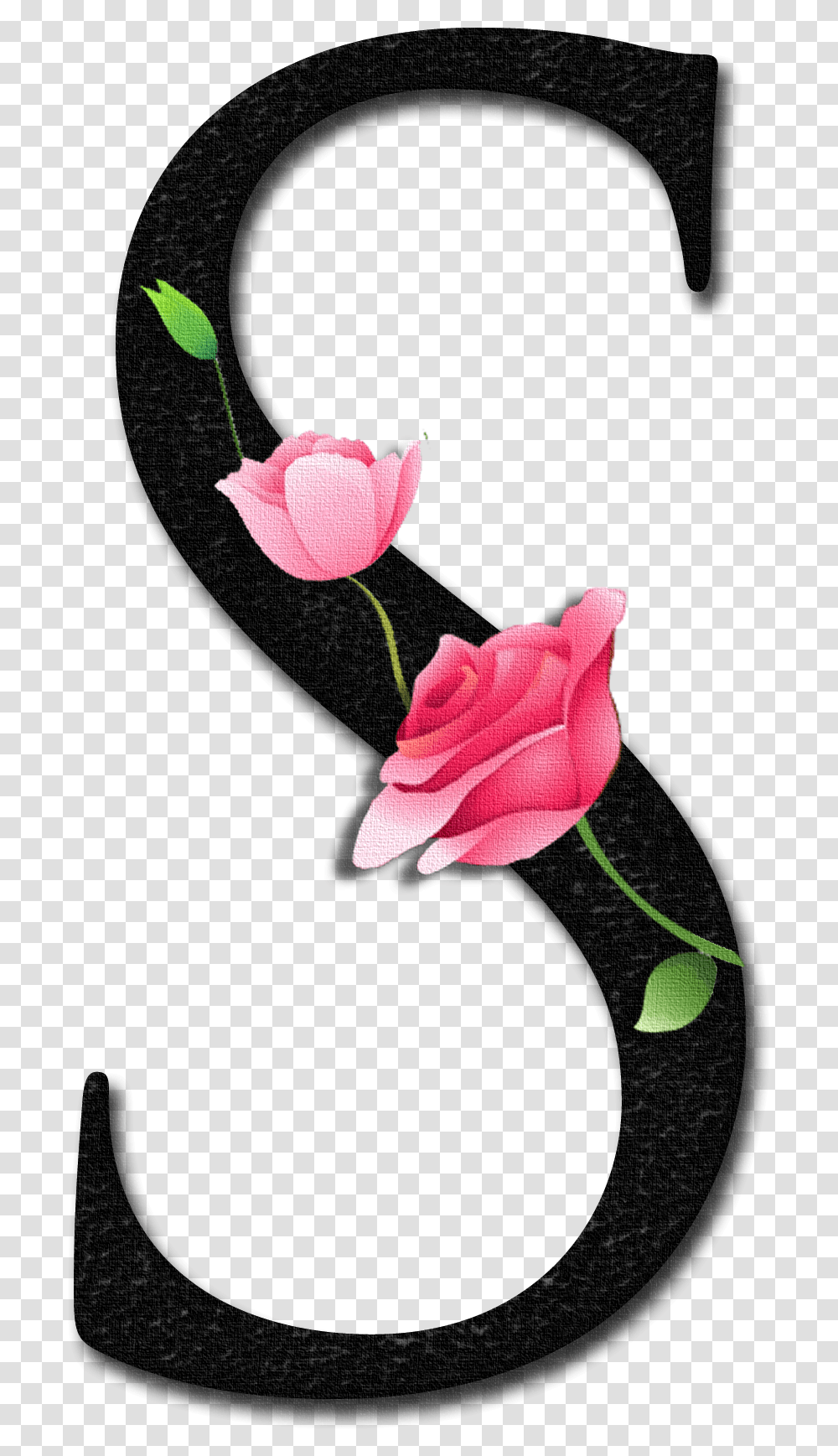 S Letter Alphabet Flower, Plant, Blossom, Petal, Carnation Transparent Png
