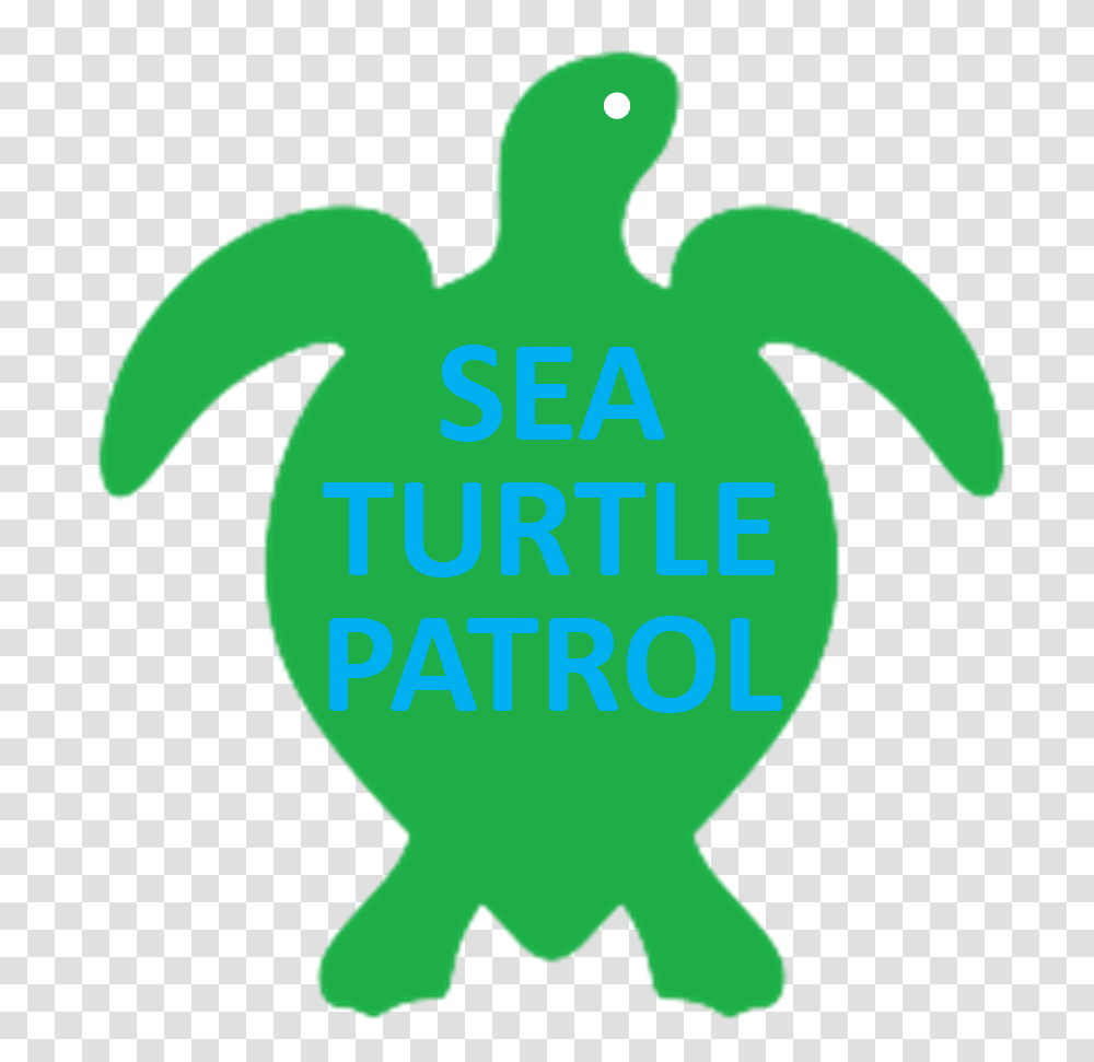 S O B A Sea Turtle Patrol, Outdoors, Animal, Nature Transparent Png