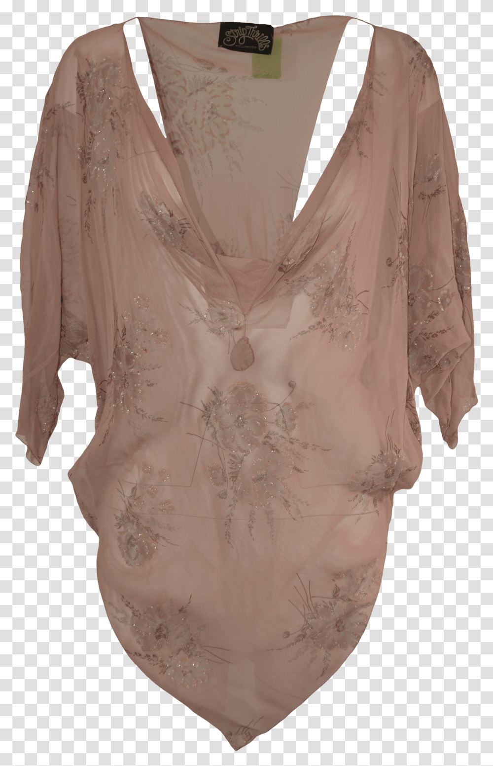 S80 S Sheer Mauve Beaded Blouse By Strip Thrills Blouse Transparent Png