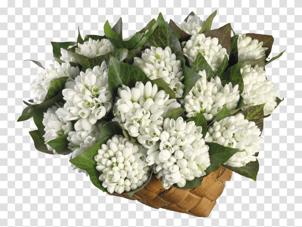 Sa Fii Femeie Nu I Usor, Plant, Flower Bouquet, Flower Arrangement, Blossom Transparent Png