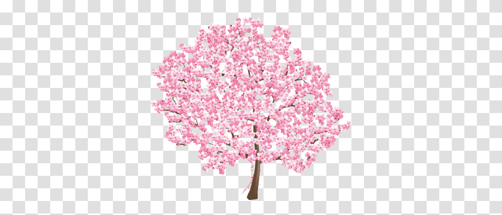 Saa Tree In Full Bloom April Newsletter Cherry Blossom, Petal, Flower, Plant, Pattern Transparent Png