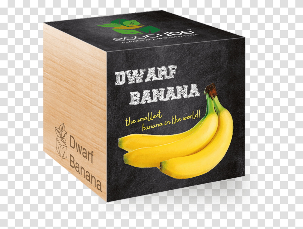 Saba Banana, Fruit, Plant, Food, Box Transparent Png