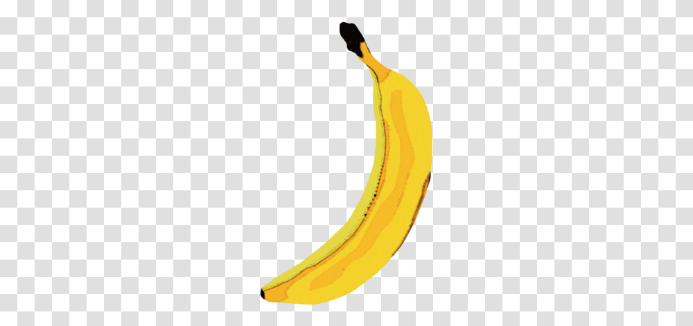 Saba Banana, Plant, Fruit, Food, Person Transparent Png