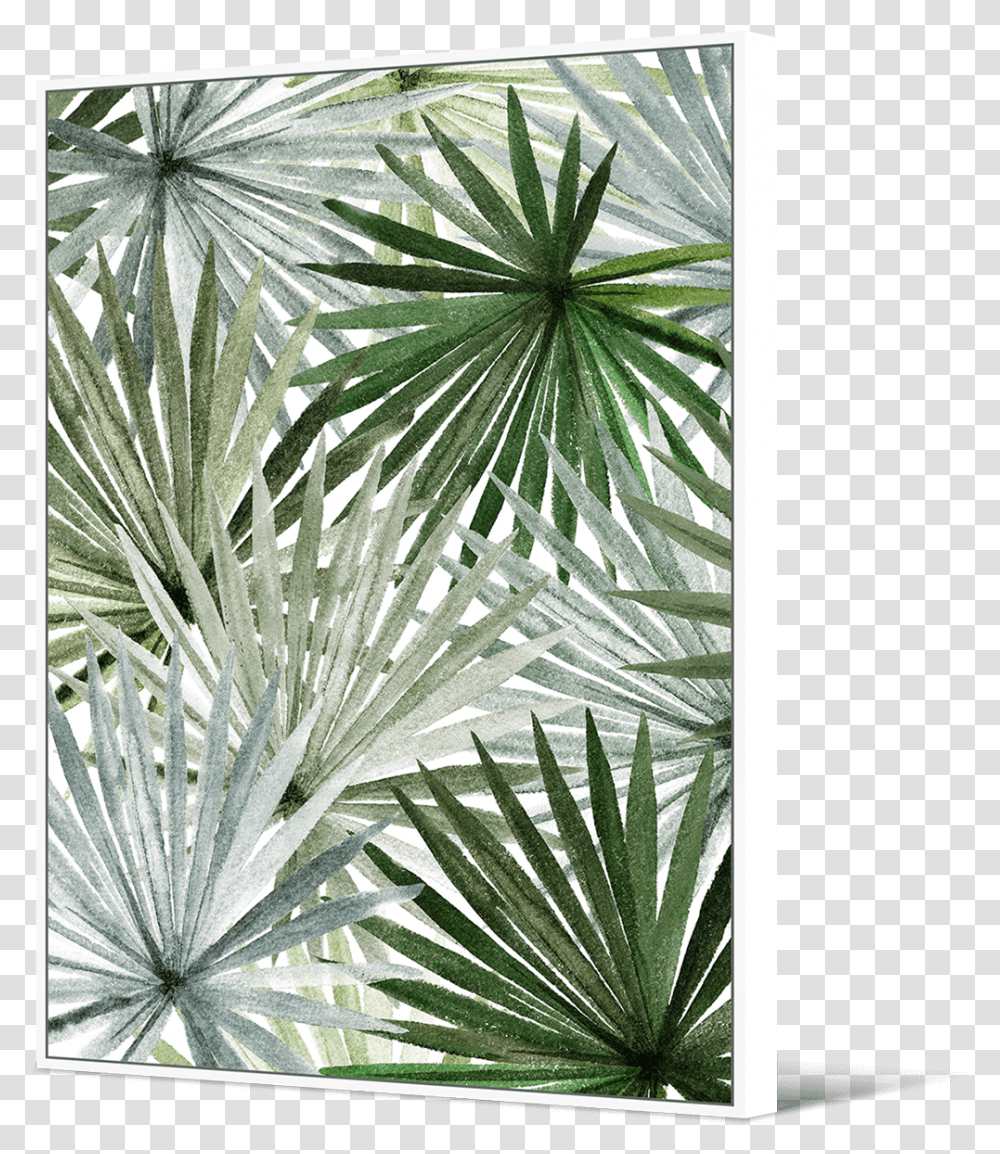 Sabal Minor Download Sabal Minor, Plant, Agavaceae, Palm Tree, Arecaceae Transparent Png