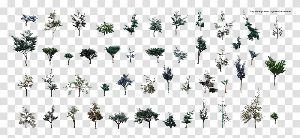 Sabal Minor, Plant, Tree, Pattern, Ornament Transparent Png