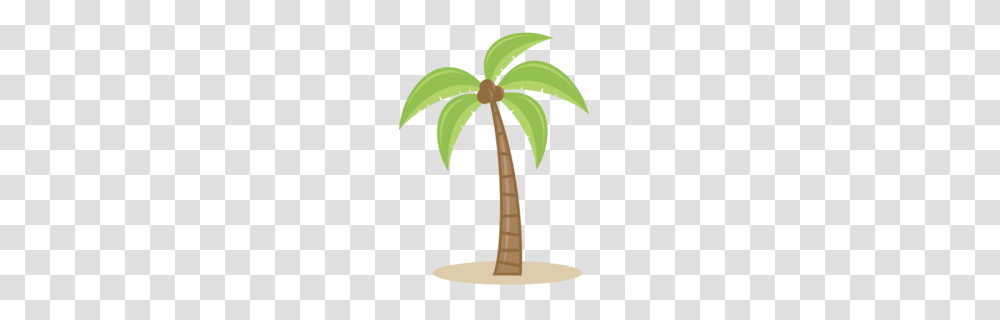 Sabal Palm Cute Clipart, Plant, Tree, Palm Tree, Arecaceae Transparent Png