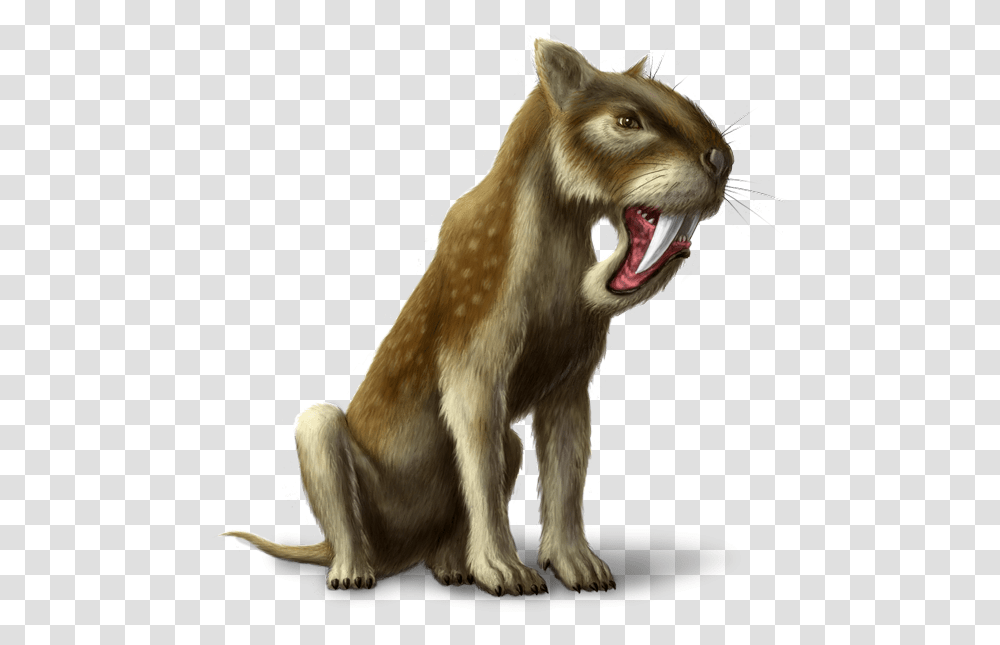 Saber Tooth Tiger Cat Yawns, Mammal, Animal, Dog, Pet Transparent Png