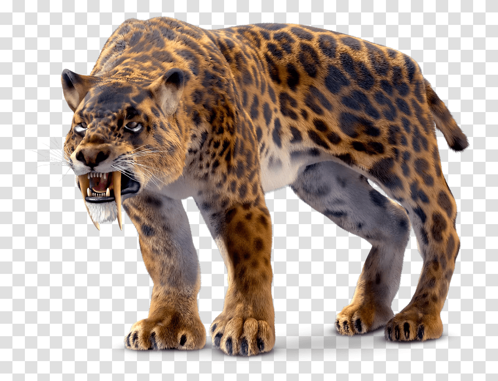 Saber Tooth Tiger, Panther, Wildlife, Mammal, Animal Transparent Png