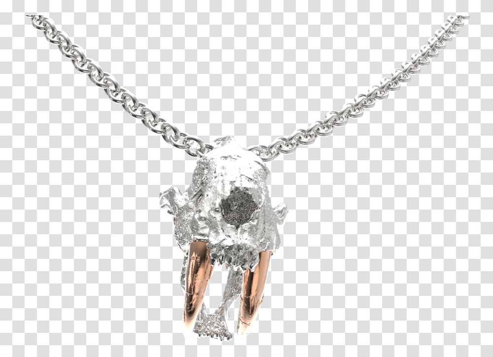 Saber Tooth Tiger Pendant, Necklace, Jewelry, Accessories, Accessory Transparent Png