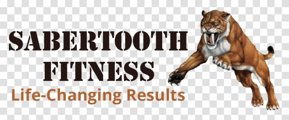 Sabertooth Fitness Saber Tooth Tiger, Dog, Pet, Canine, Animal Transparent Png