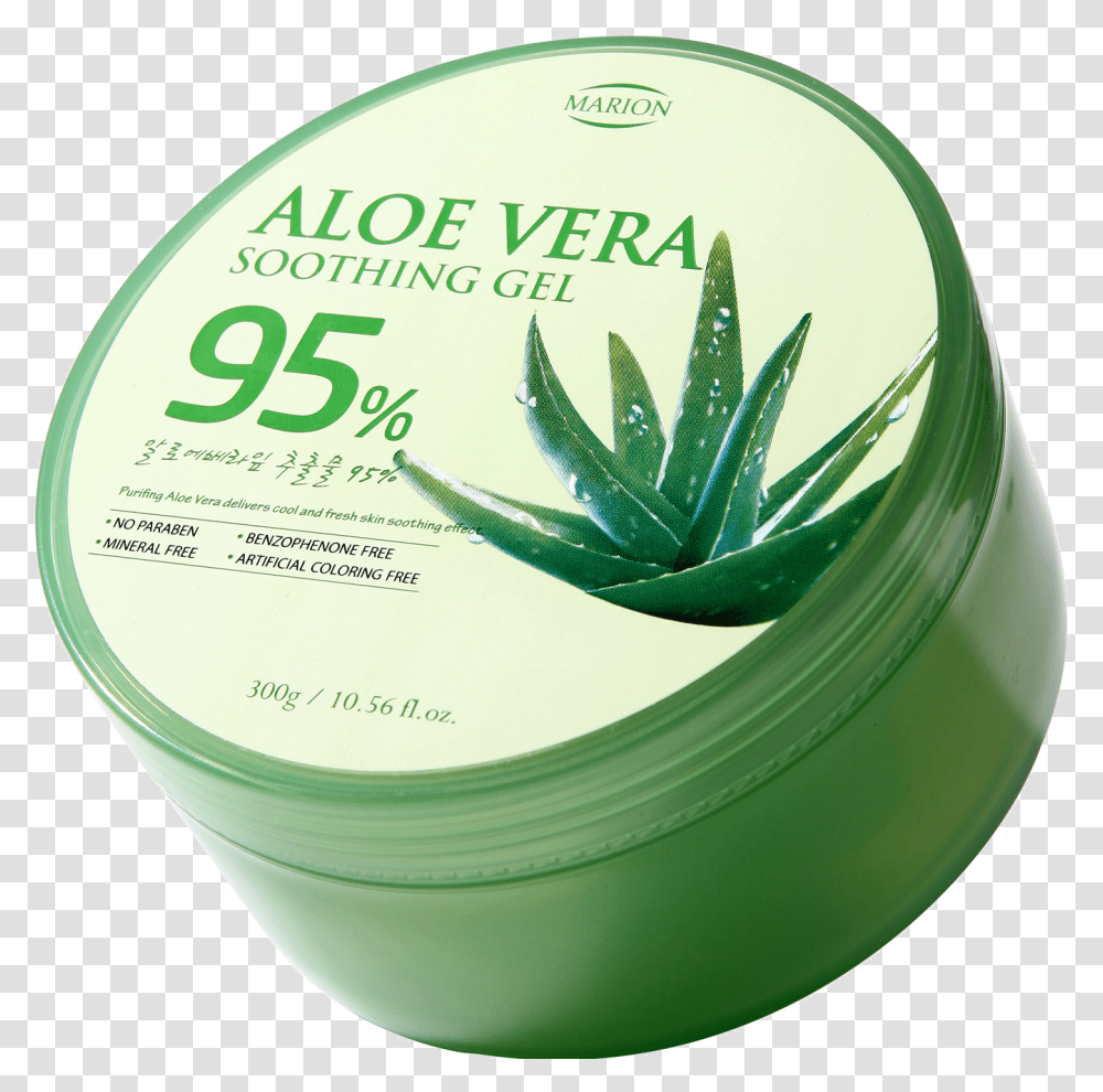 Sabila Gel Aloe Vera Para Que Sirve, Plant, Potted Plant, Vase, Jar Transparent Png