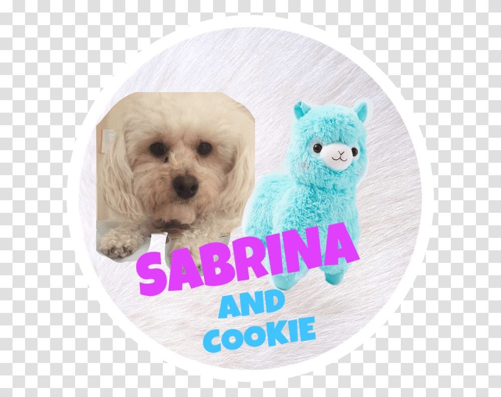 Sabrina Cookies Dog Icon Plushie Freetoedit Radiation Symbol, Pet, Canine, Animal, Mammal Transparent Png