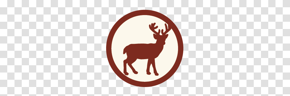 Sacred Fire Foundation, Elk, Deer, Wildlife, Mammal Transparent Png