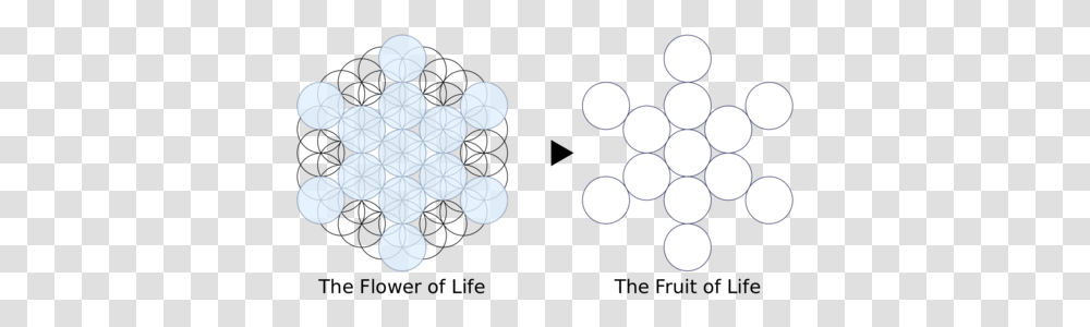 Sacred Geometry And The Flower Of Life Fruit Of Life, Text, Alphabet, Symbol, Crowd Transparent Png