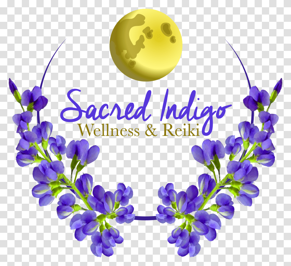 Sacred Indigo Wellness Amp Reiki Viola, Plant, Flower, Purple, Astronomy Transparent Png