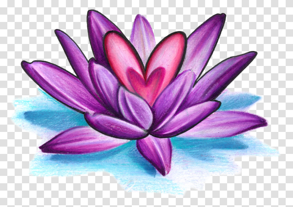 Sacred Lotus, Dahlia, Flower, Plant, Blossom Transparent Png