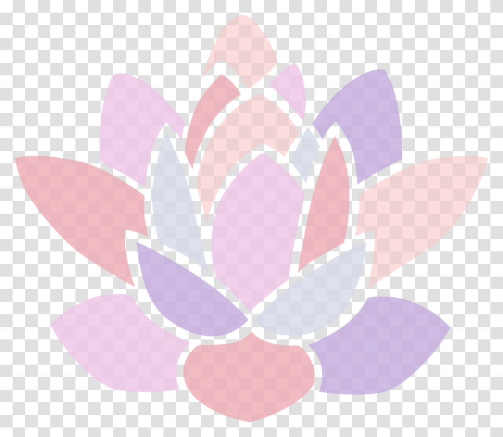Sacred Lotus, Flower, Plant, Blossom, Petal Transparent Png