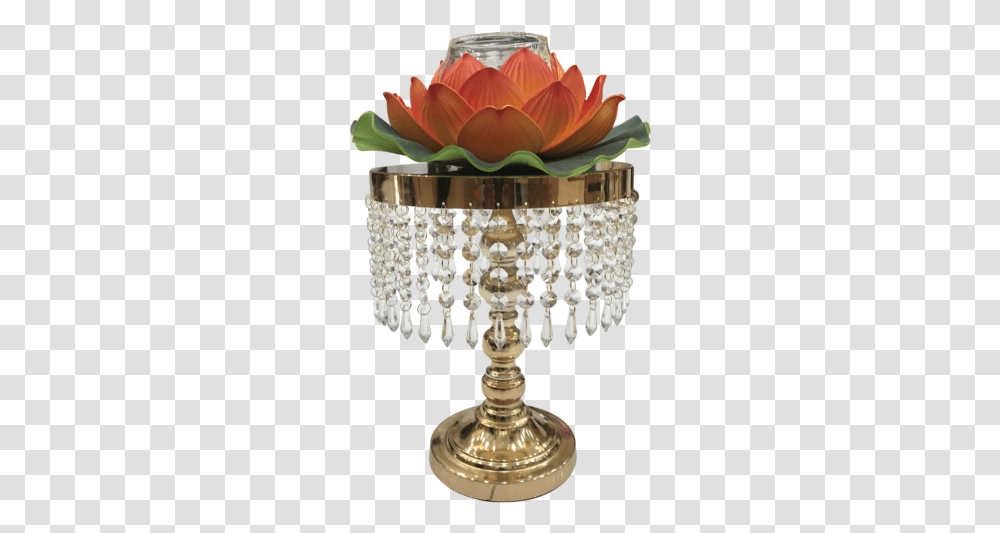 Sacred Lotus, Flower, Plant, Flower Arrangement, Floral Design Transparent Png