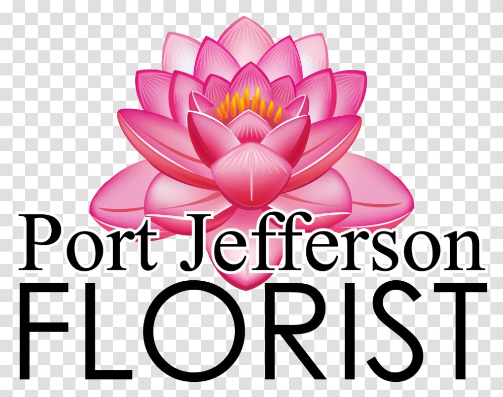 Sacred Lotus Hellyer, Plant, Flower, Blossom, Pond Lily Transparent Png