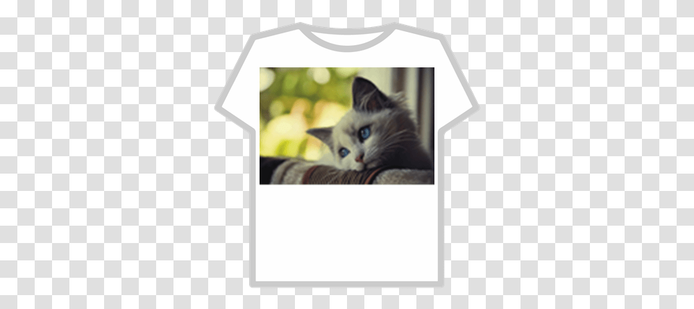 Sad Cat Roblox U Not Talk To Me Wh6 Memes, Kitten, Pet, Mammal, Animal Transparent Png