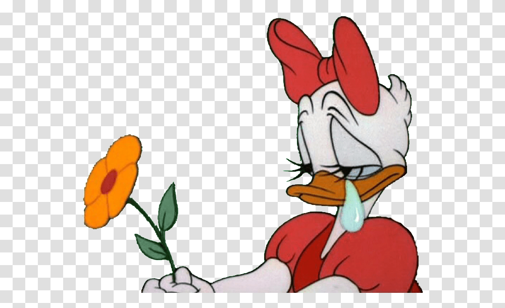 Sad Daisy Duck Aesthetic Sad Cartoon Characters, Flower, Plant, Blossom, Animal Transparent Png