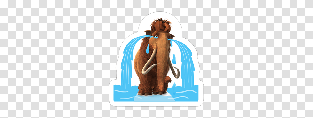 Sad, Mammal, Animal, Wildlife, Snow Transparent Png