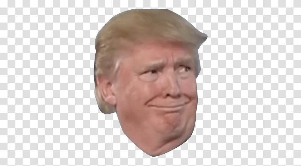 Sad Trump Donald Trump Head, Face, Person, Human, Frown Transparent Png