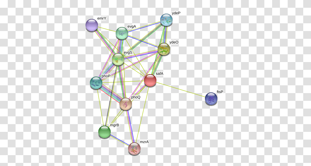 Safa Protein Circle, Network, Diagram, Astronomy, Outer Space Transparent Png